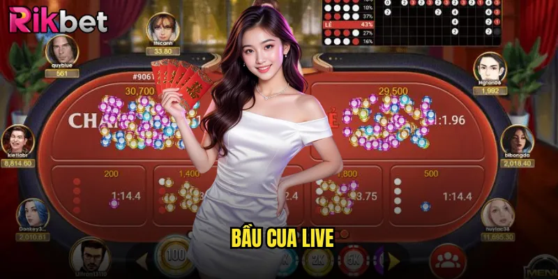 Bầu Cua Live rikbet Trò Chơi Dân Gian Việt Nam Trực Tuyến 2 Bầu Cua Live