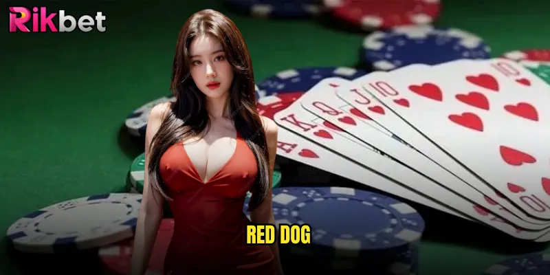 Red Dog rikbet Trải Nghiệm Độc Đáo Game Bài Kinh Điển Phương Tây 6 Red Dog
