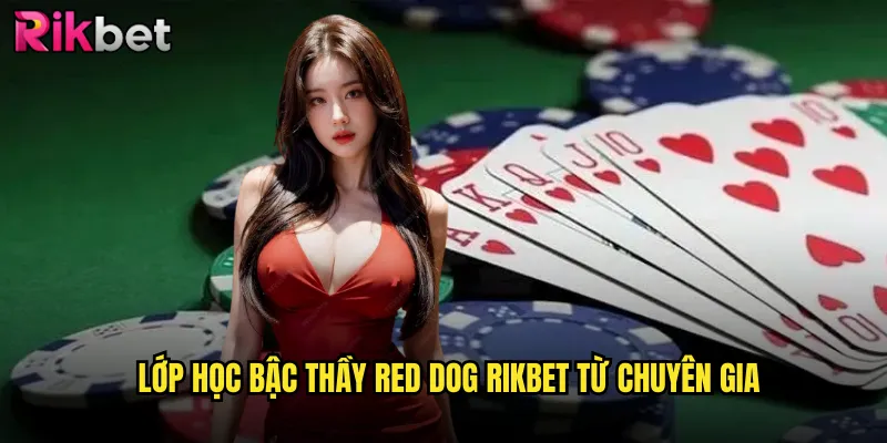 Red Dog rikbet Trải Nghiệm Độc Đáo Game Bài Kinh Điển Phương Tây 3 Lớp Học Bậc Thầy Red Dog rikbet Từ Chuyên Gia